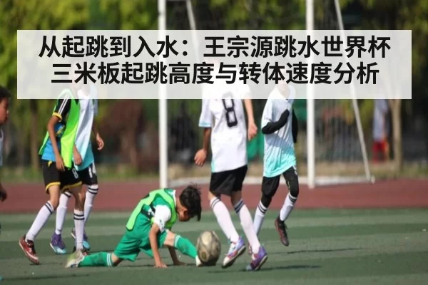 从起跳到入水：王宗源跳水世界杯三米板起跳高度与转体速度分析